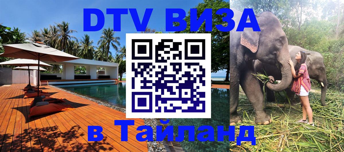 Сколько стоит DTV виза — актуальные цены, оформление даже без документов - 